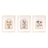 Trio of Frames, Botanical illustration, 30X40cm