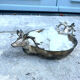 Stag Head Ice Dish Silver Plated Deer Barware