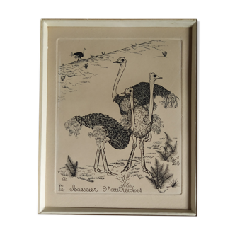 Engraving "Ostrich Hunter" 1950's