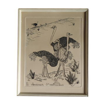 Engraving "Ostrich Hunter" 1950s