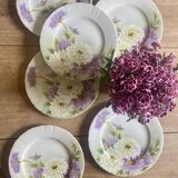 Set of 6 old flat plates - Reine Marguerite de KG Lunéville -