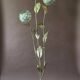 Floral floor lamp in brass and Capiz shell, 1970