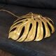 Suspension Philo Monstera