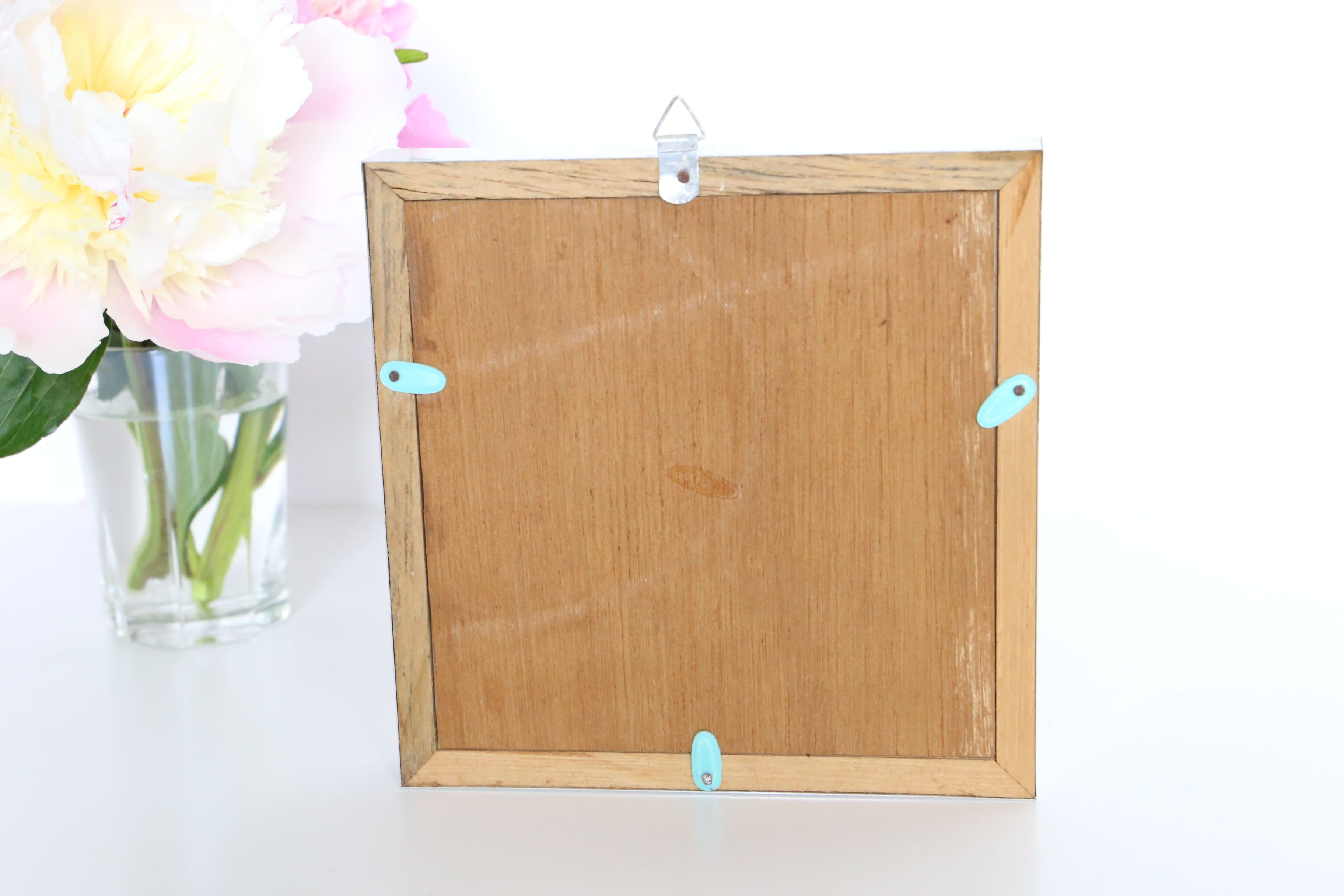 Naturalized Butterfly frame, Caduga SITA Niphonica