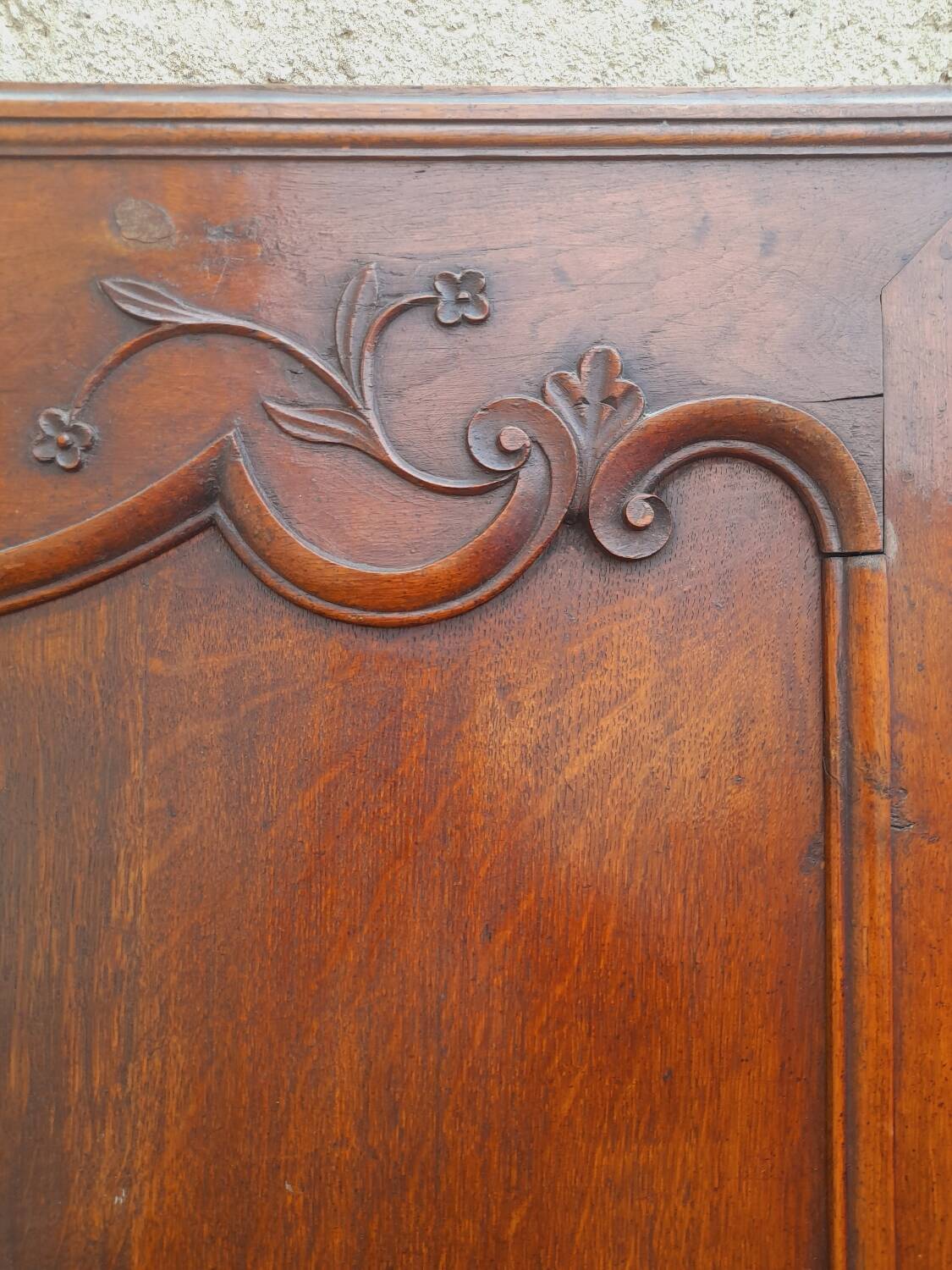 Pair of carved oak cabinet doors