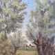 Huile sur toile «étang baron»
