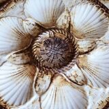 Oyster service, platter and 6 Longchamp oyster plates.