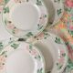 6 vintage dessert plates, Salins France