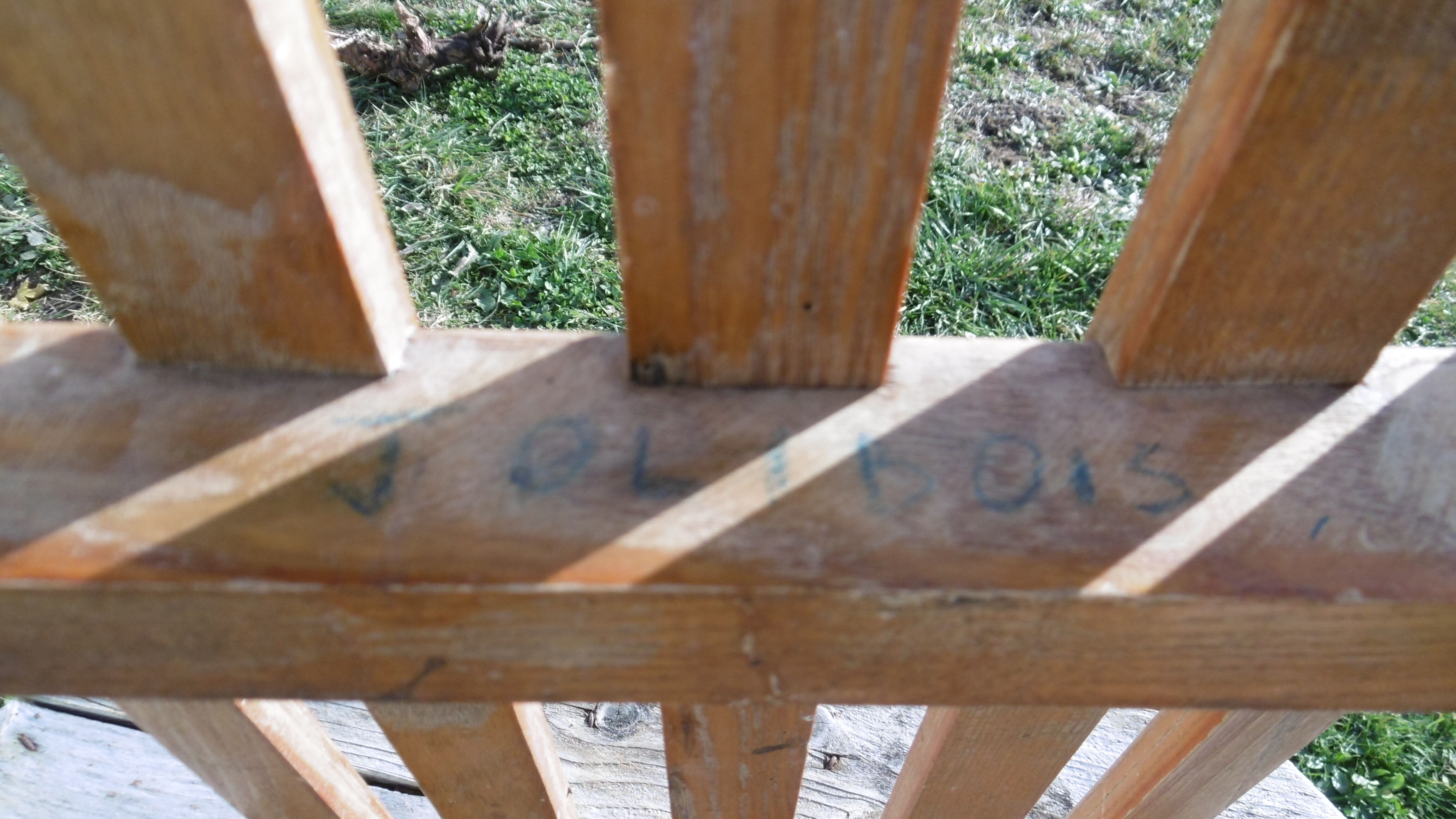 Old James - Davos wooden sled