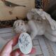 Antique small silver-plated art nouveau box