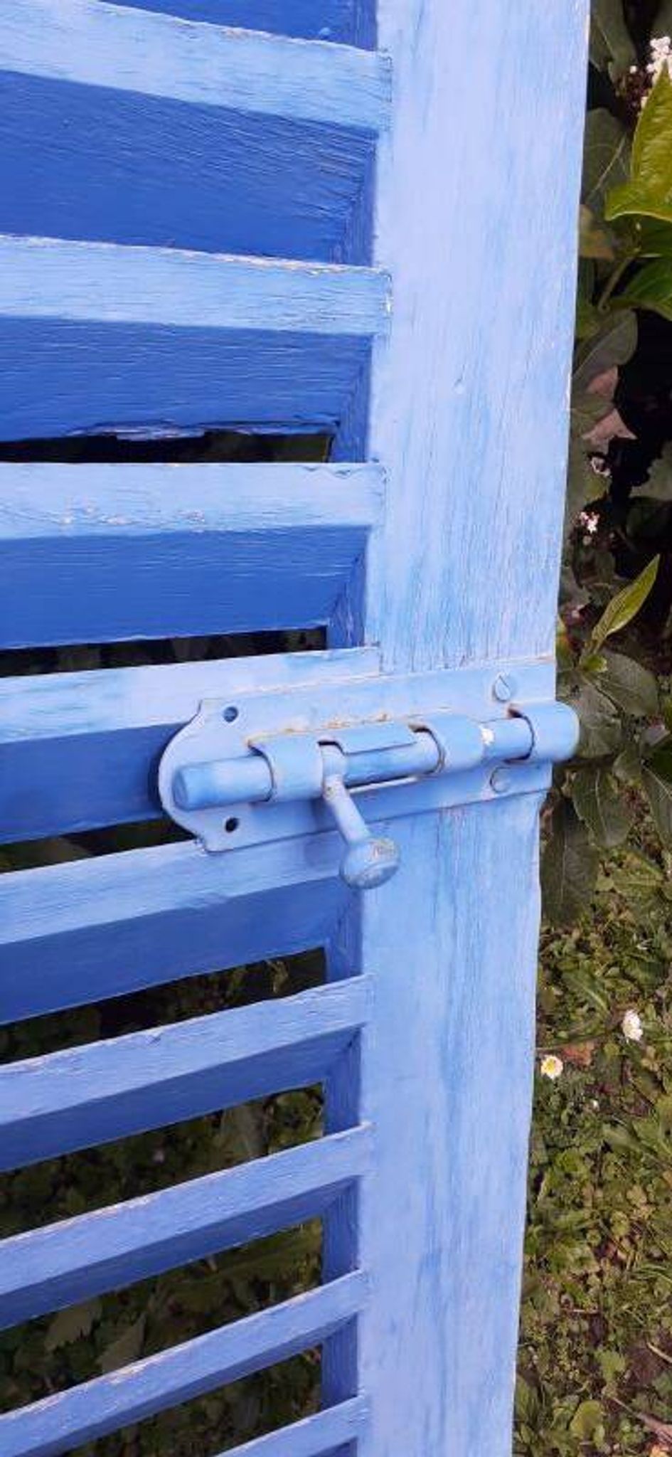 Petit volet  L75xH101cm bleu à persiennes