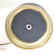 Old Blue/vintage opaline petrol lamp