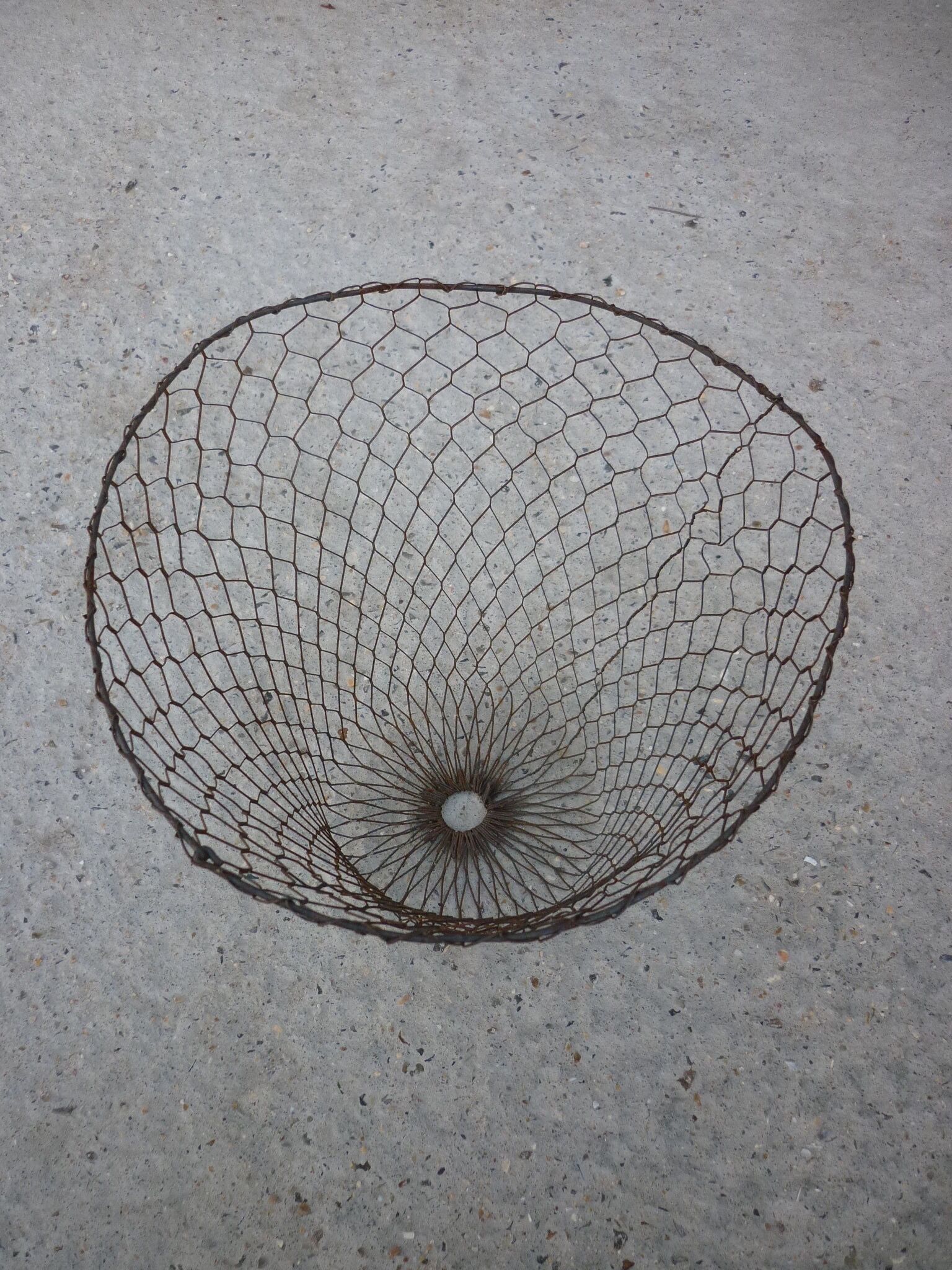 Chicken wire basket
