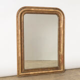 Mirror with Floral Etchings 66x92cm