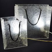 Lucite shopping bag lamps mid-century, set of 2