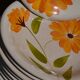 12 assiettes "Primula" Italy vintage