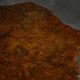 Organic burl wood coffee table, France, 1950s