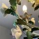 Vintage Italian chandelier in porcelain and tin from the 1950s.
