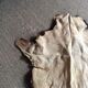 Goat skin