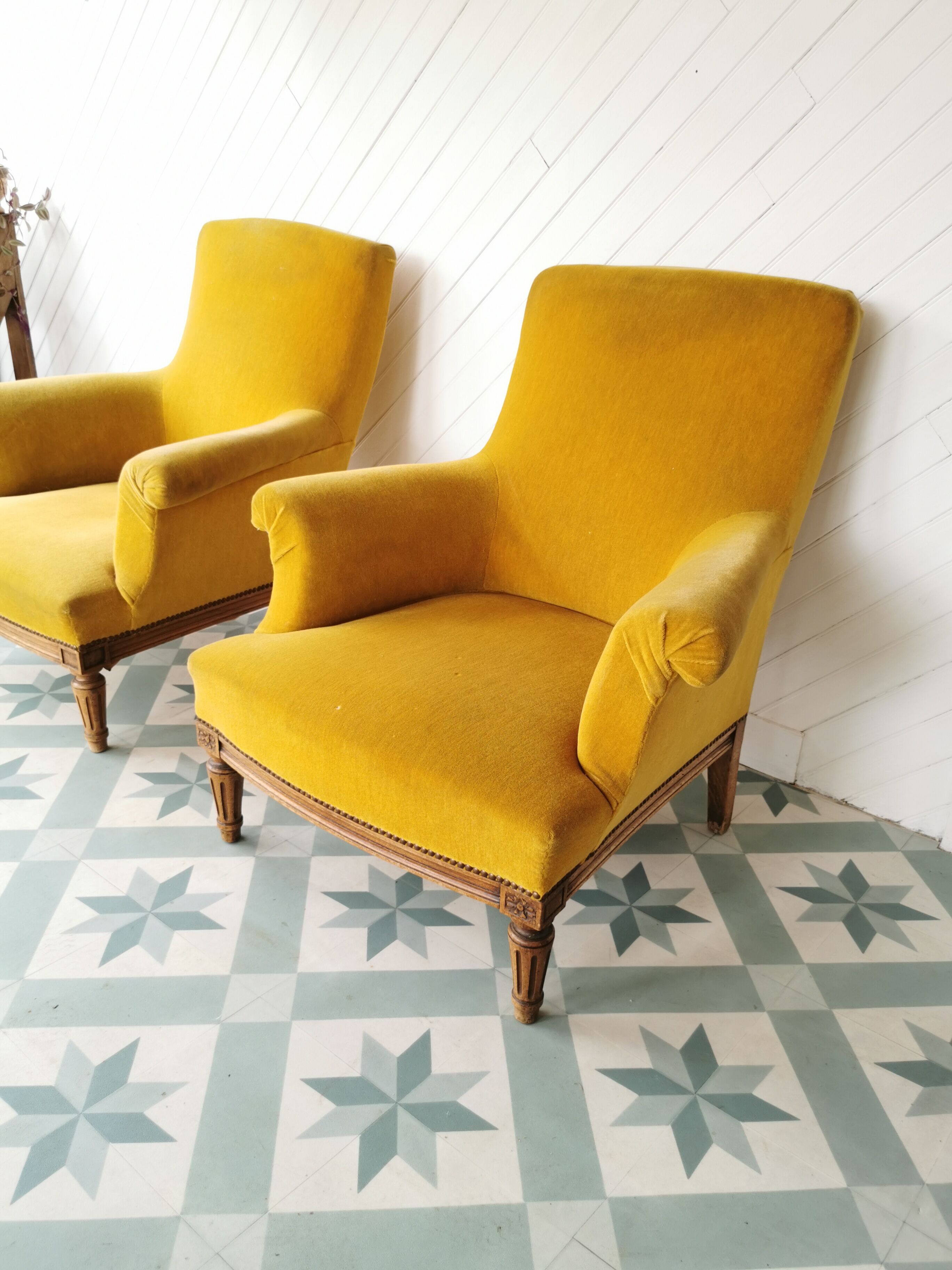 Toad armchairs
