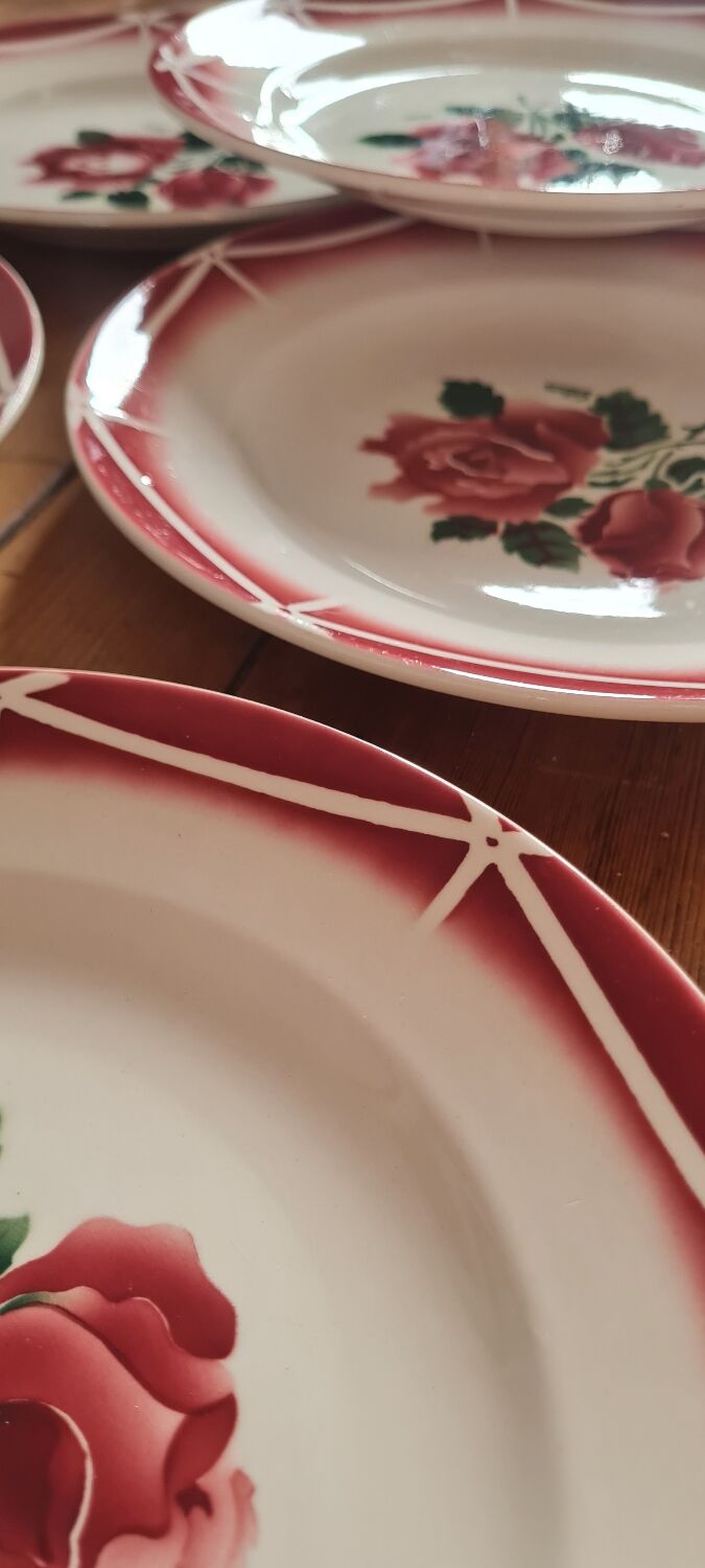 Service of 10 plates in Digoin earthenware