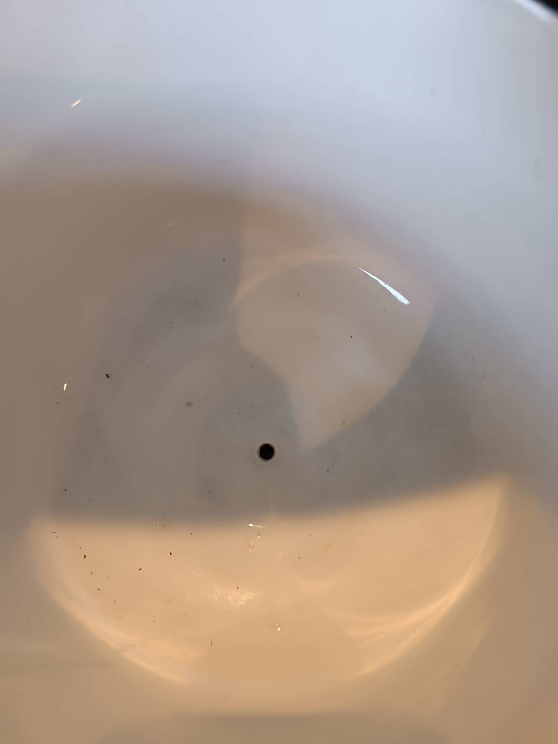 Napoleon iii planter