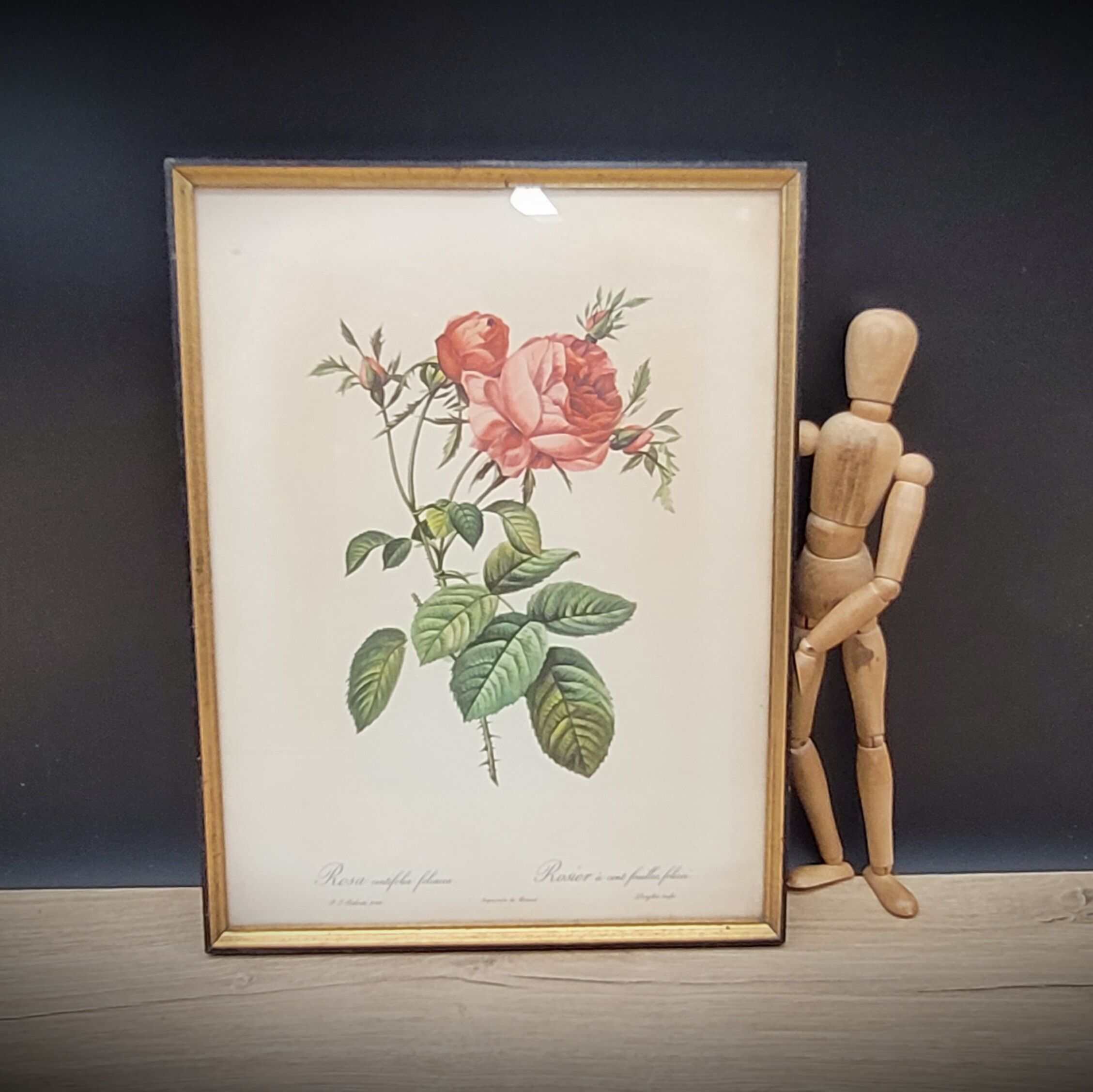Litho Rose one hundred leafy leaves