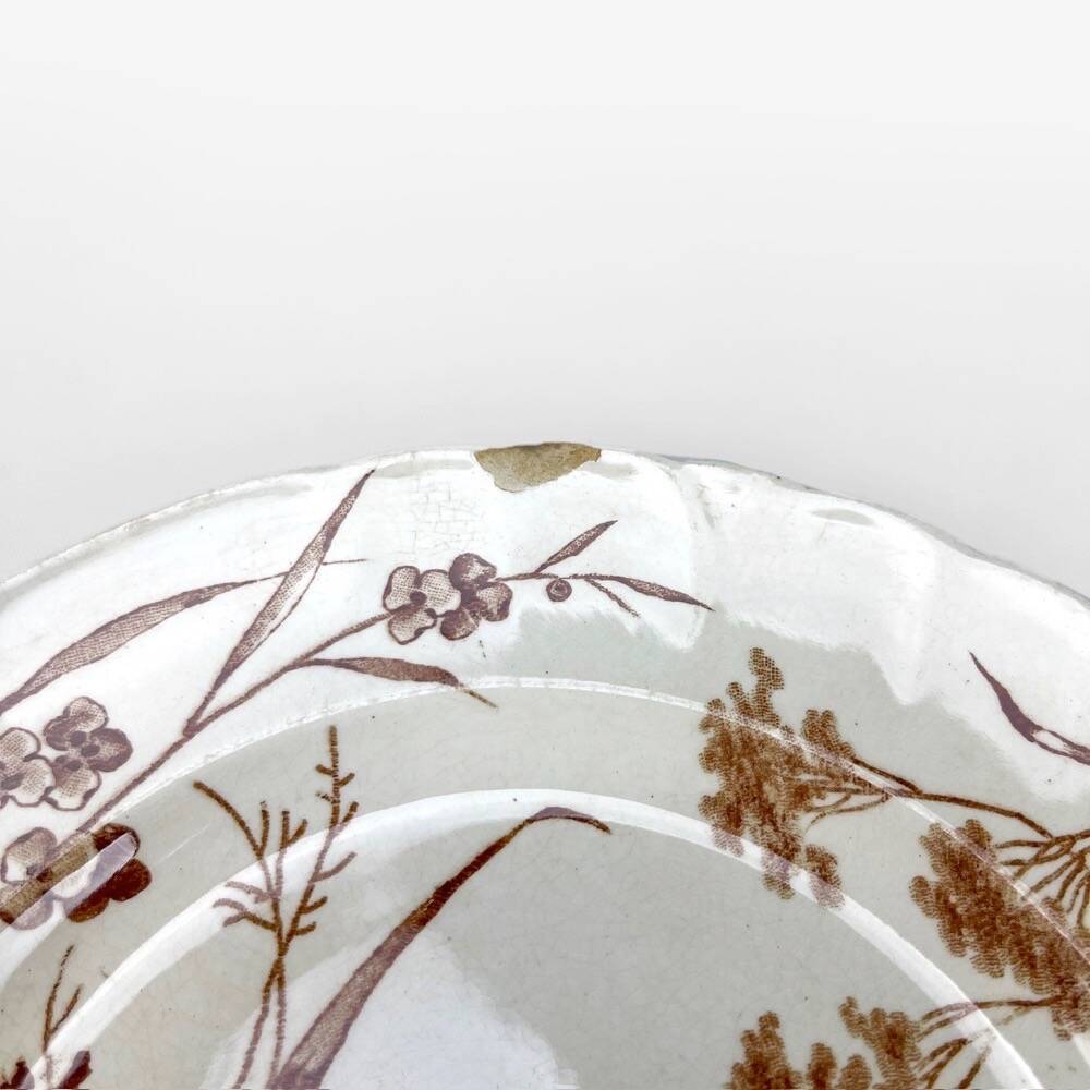 8 assiettes à dessert Terre de fer sépia modèle Flore Jules Vieillard Bordeaux XIX