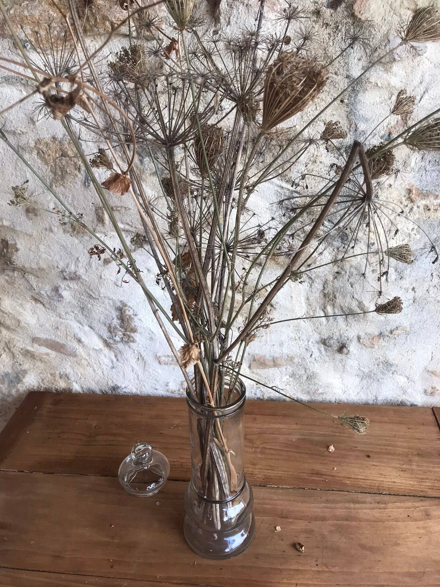 Glass apothecary jar