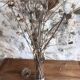 Glass apothecary jar