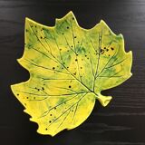 Plat feuille de platane
