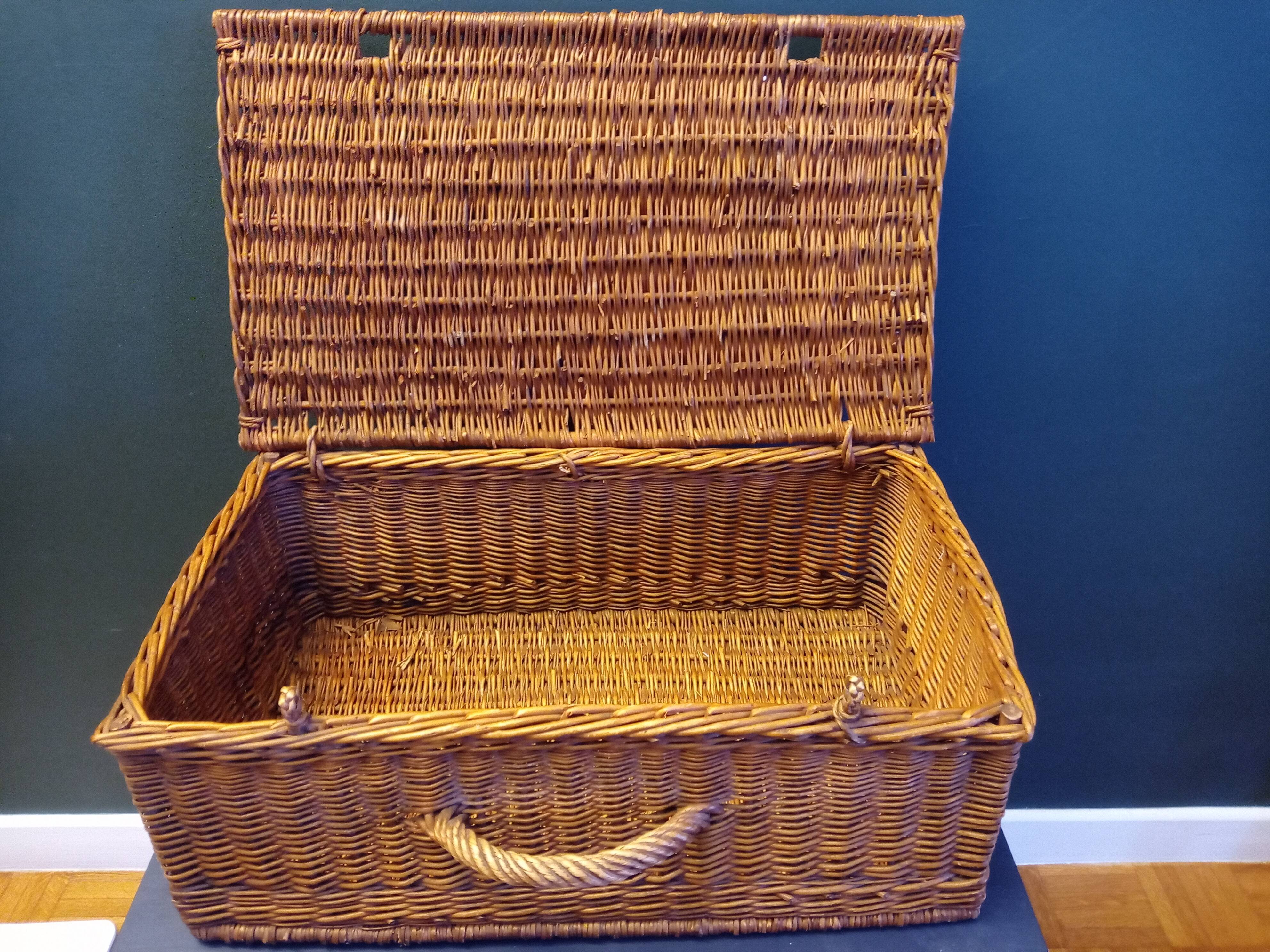 Wicker trunk