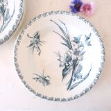 Hollow plates x5, Gien, Glaieul pattern, iron earth