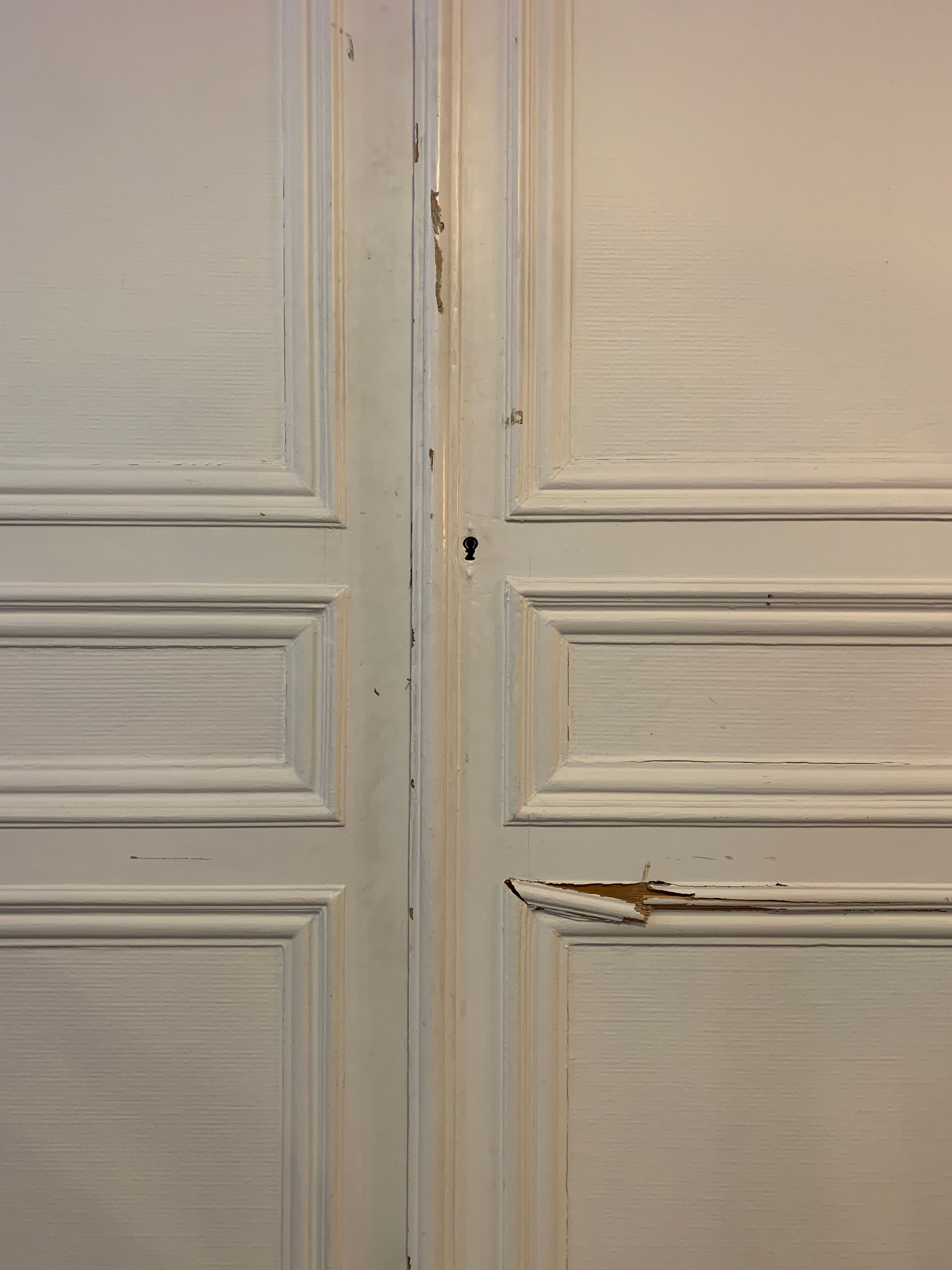 Old closet doors 255 x 144