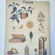 Affiche ancienne Deyrolle : l'orange