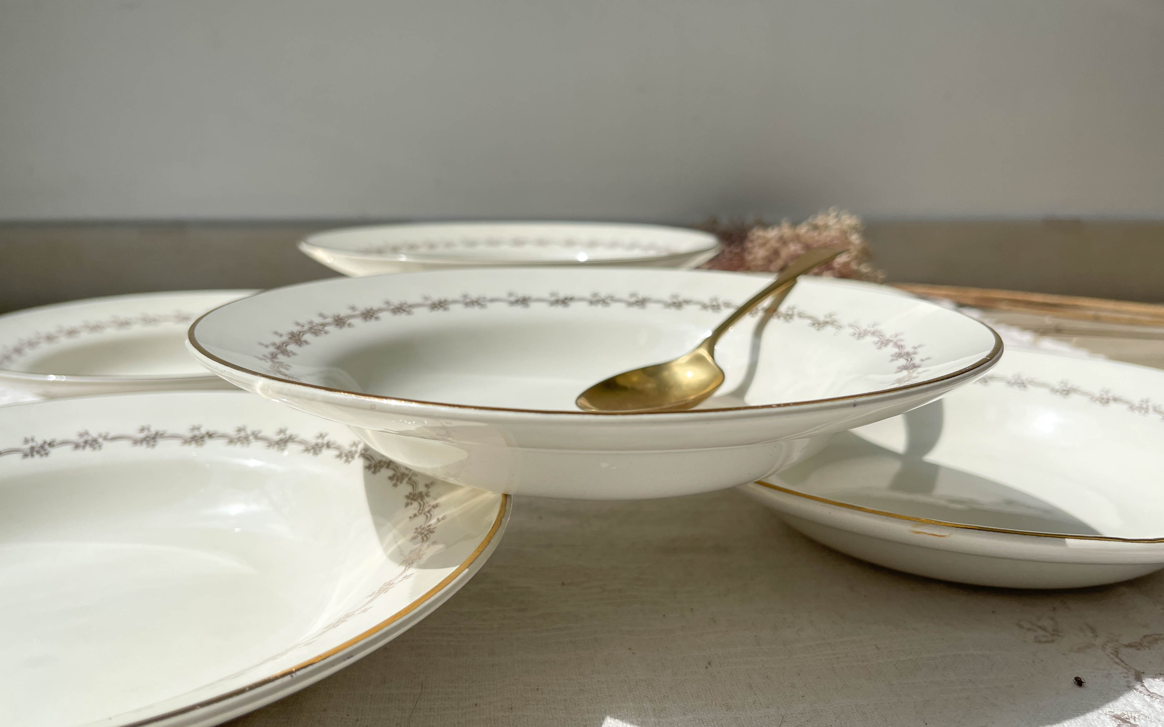 6 opaque porcelain soup plates from Digoin, "Suzy" model