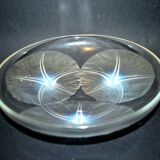 Bowl Plate Bindweed Volubilis in opalescent glass R. Lalique France 1921