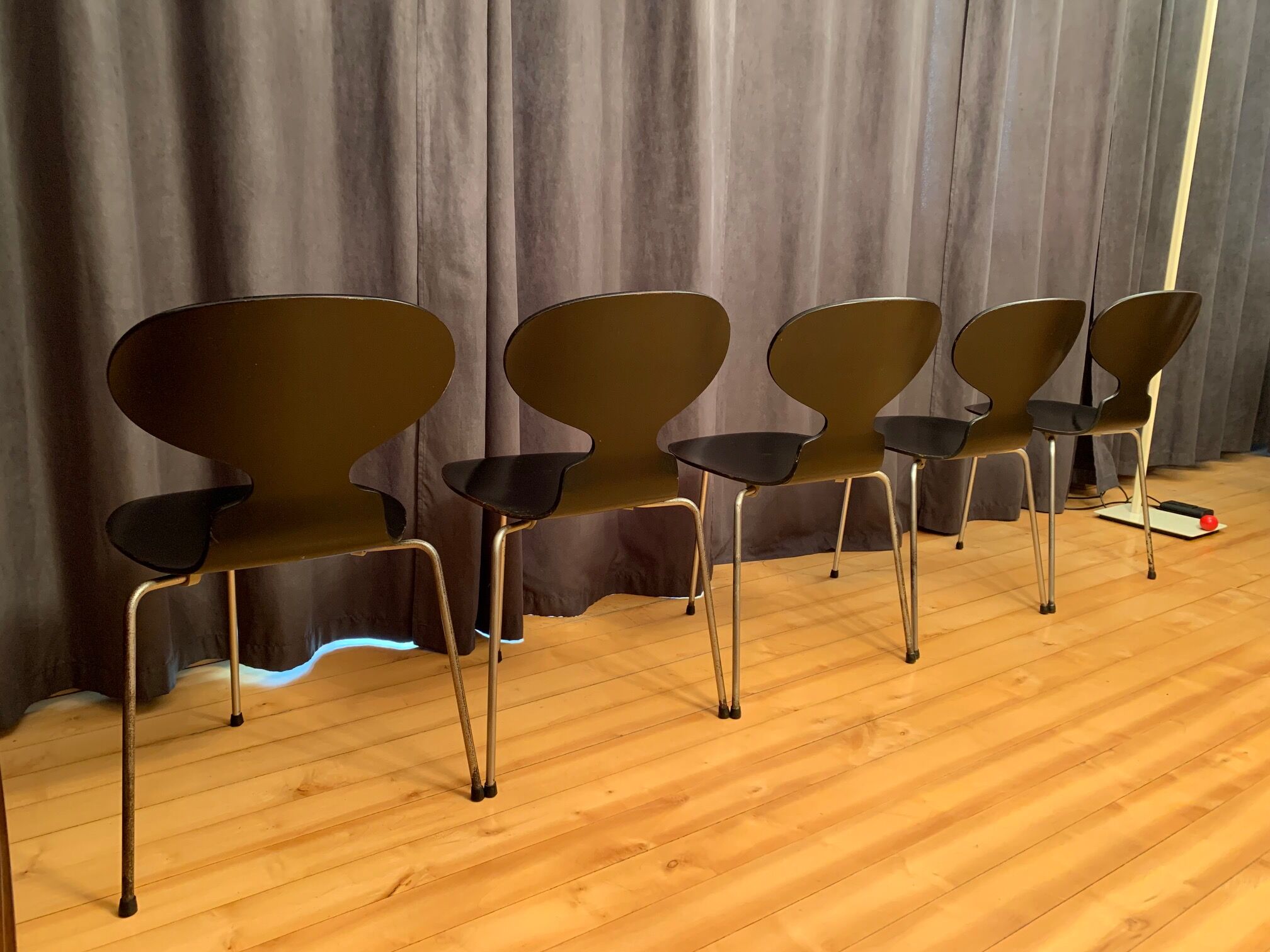 A set of five chairs Early model 3100 by Arne Jacobsen, Fritz Hansen, Denmark, 1963