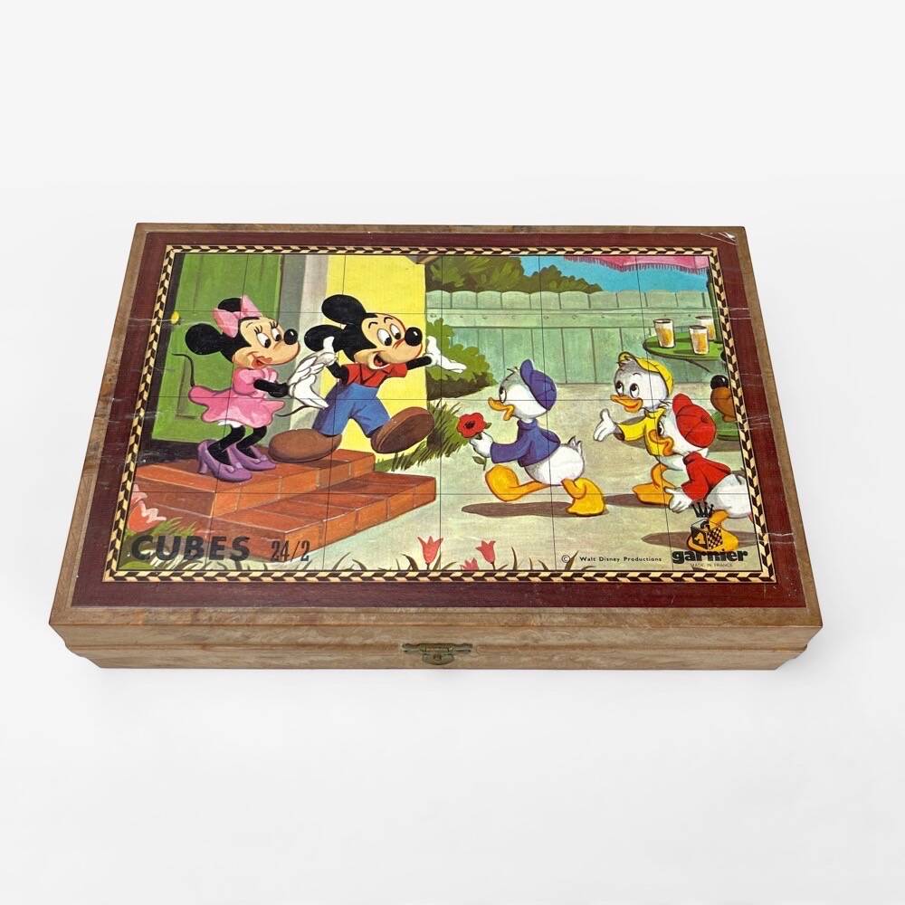 Box of 24 wooden cubes Garnier illustrations Walt Disney