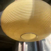 Rota-flex suspension space age