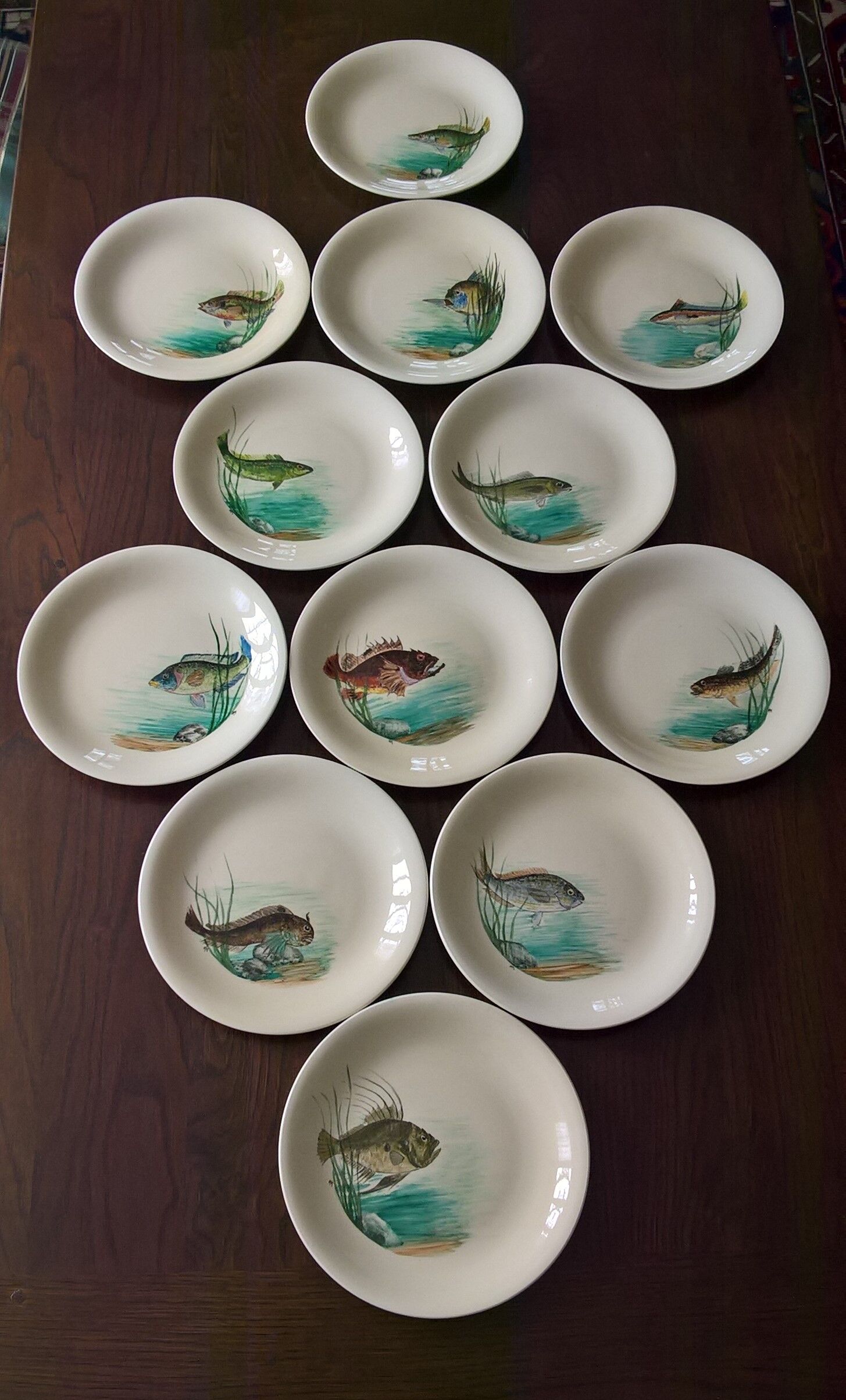 12 fish plates Proceram Cerel Aubagne, 1950s