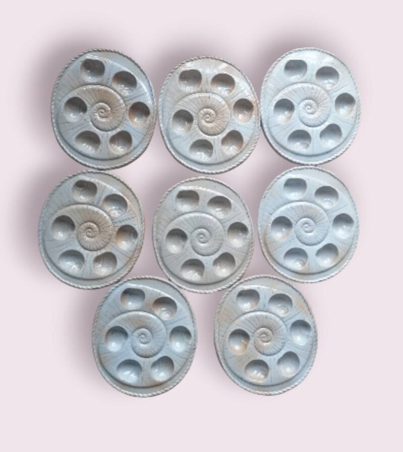 8 snail plates sandstone from the marsh France