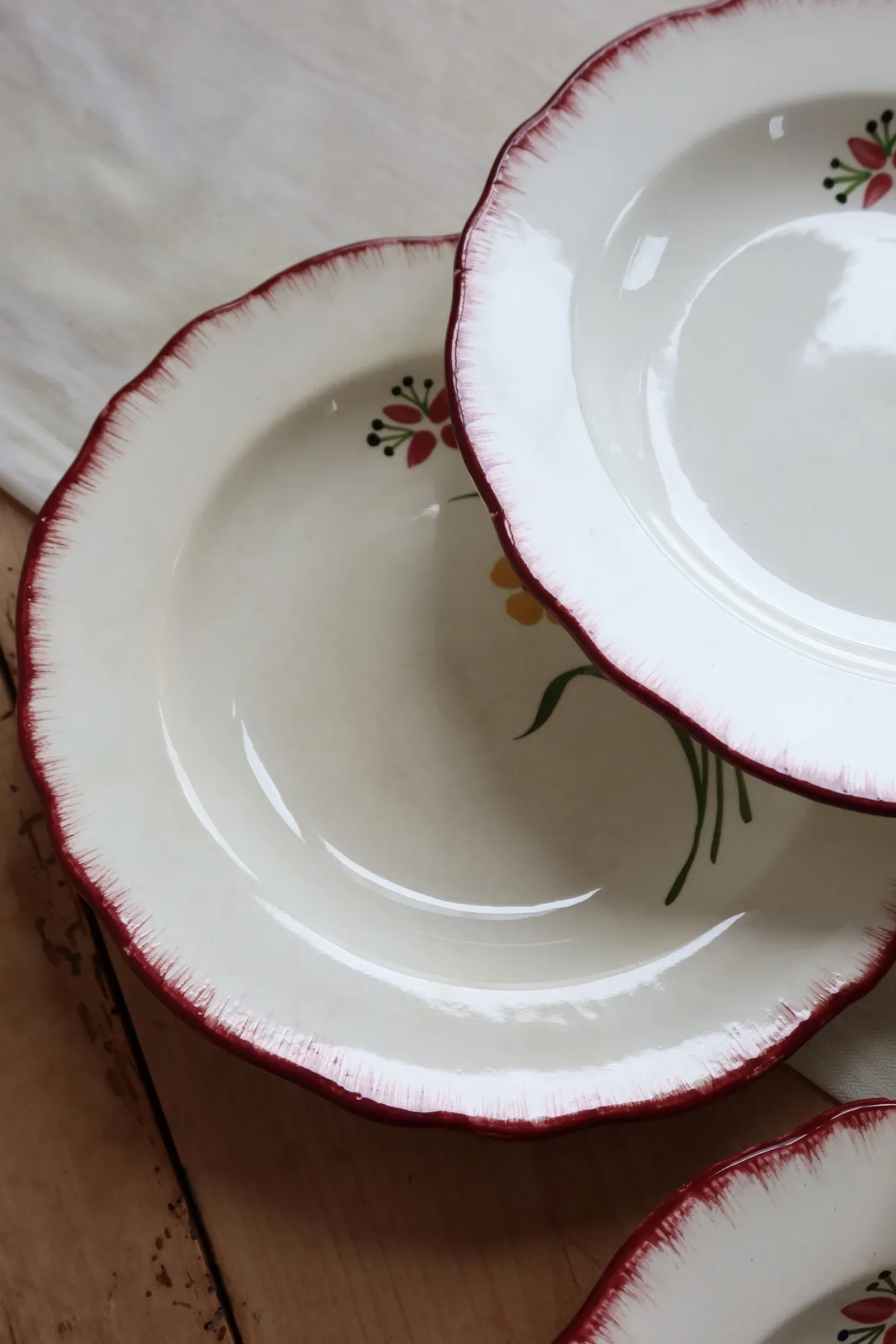 6 vintage deep plates Terre de Fer Salins model Pierrette