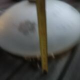 Vintage Art Nouveau style pendant light