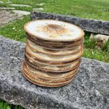 11 Longchamp shell plates