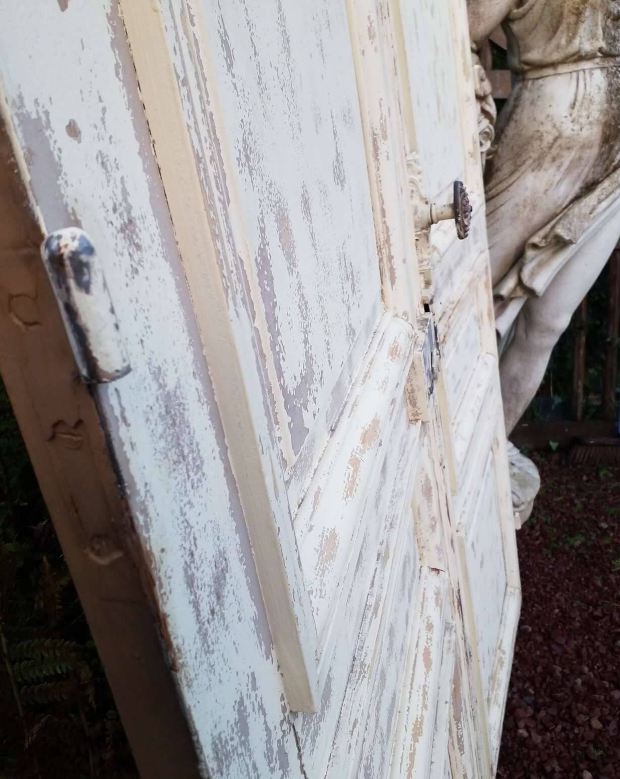 Pair of antique doors