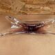 Old Empty Pocket Crystal Cup Purple & Transparent Vintage #B086