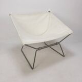 Pierre Paulin AP-14 "Anneau" Butterfly Chair by AP Polak, 1950's
