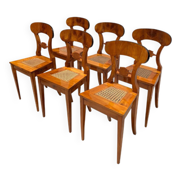 Biedermeier Board Chairs in Cherry Veneer and Mesh, Vienna, 1830s, Set of 6