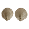 Wall sconces scallop shell